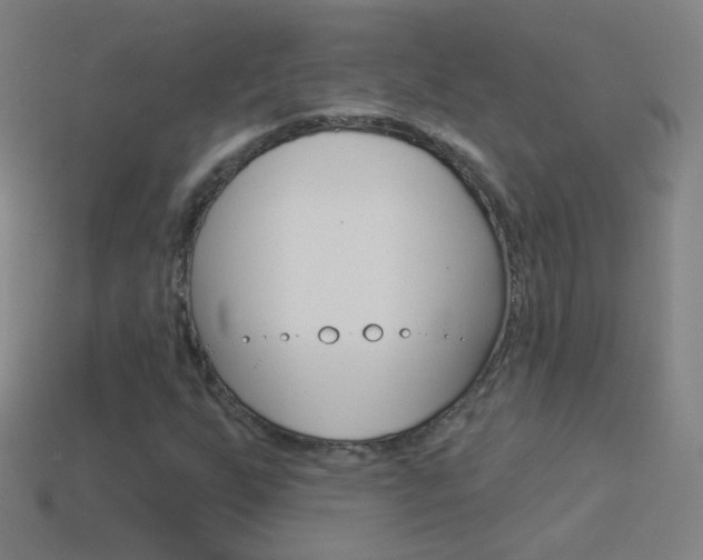 X0000114531255200910191003