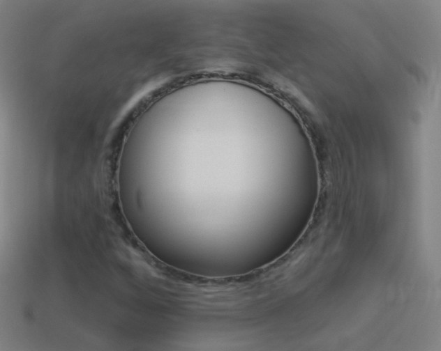 X0000114531256200910191003