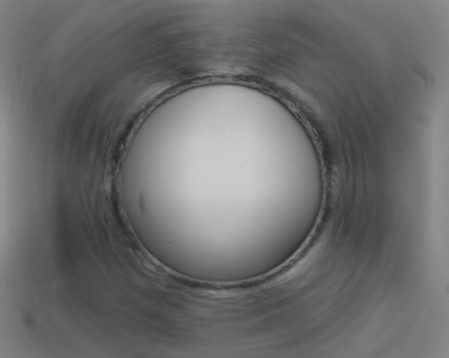 X0000114531257200910191003