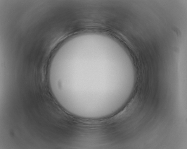 X0000114531261200910191003
