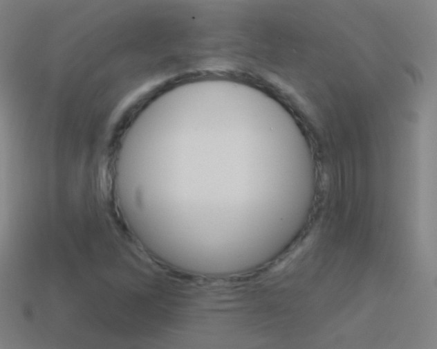 X0000114531262200910191003
