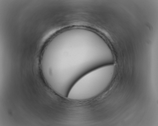 X0000114531263200910191003
