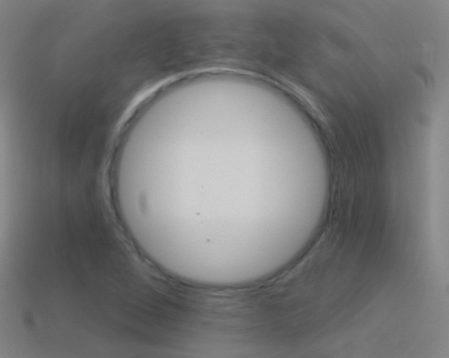 X0000114531264200910191003