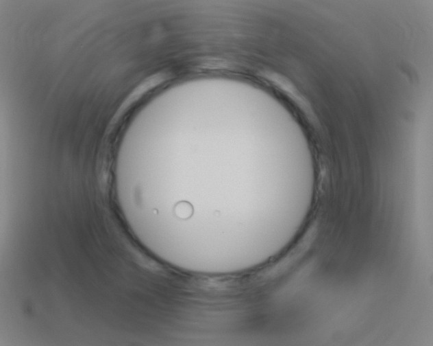 X0000114531266200910191003