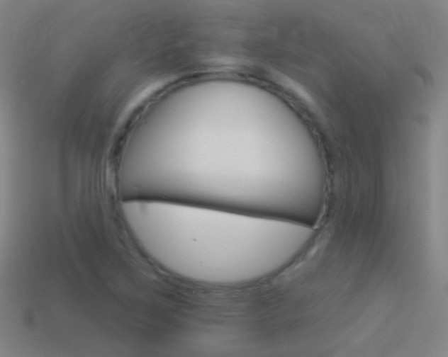X0000114531267200910191003