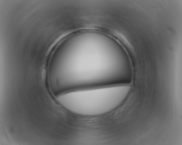 X0000114531268200910191003
