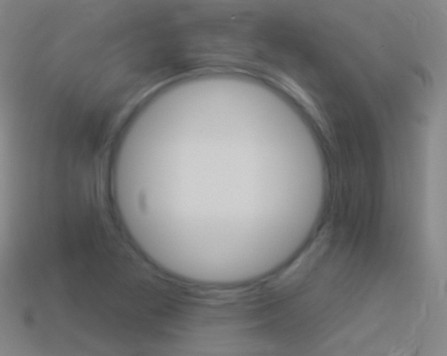 X0000114531269200910191003