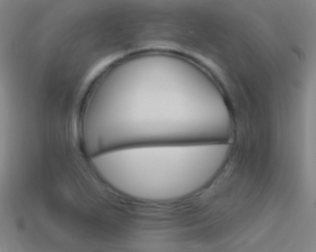 X0000114531271200910191003
