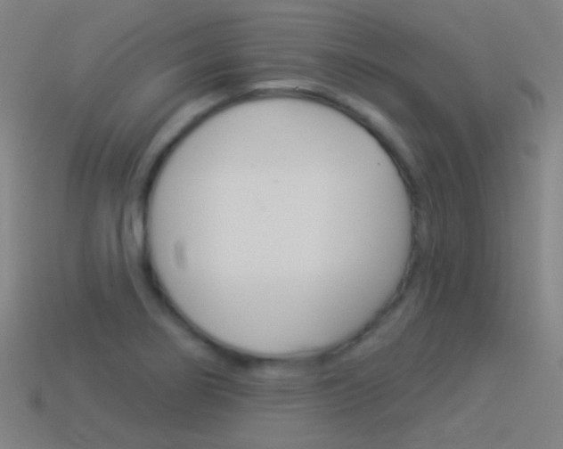 X0000114531274200910191003
