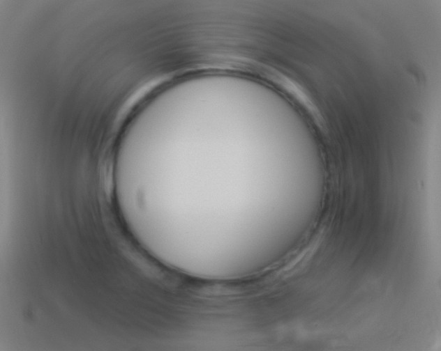 X0000114531275200910191003