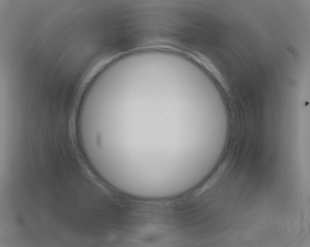 X0000114531277200910191003