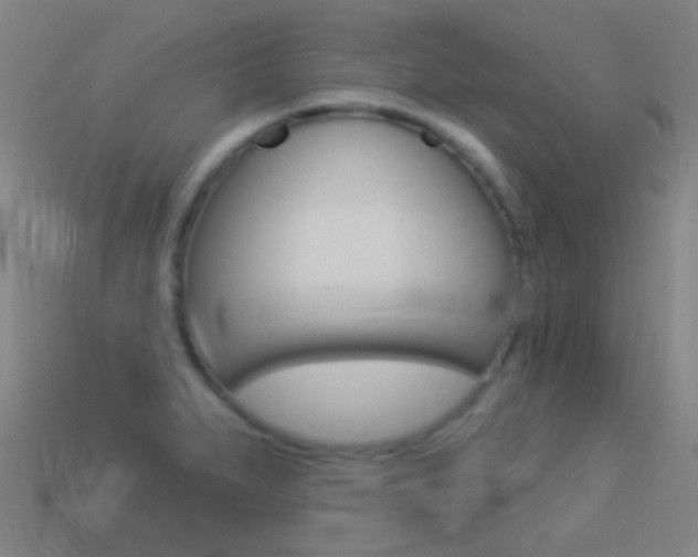 X0000114531279200910191003