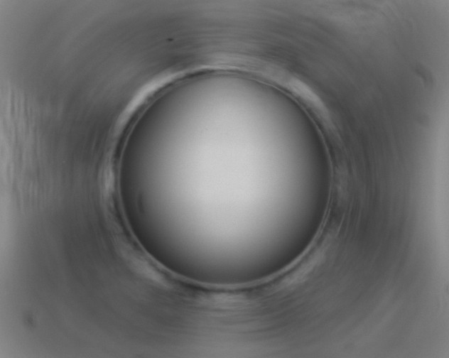 X0000114531280200910191003