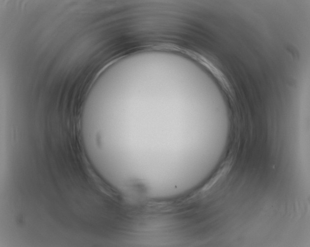 X0000114531281200910191003