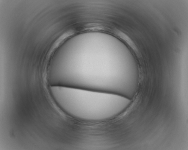 X0000114531282200910191003