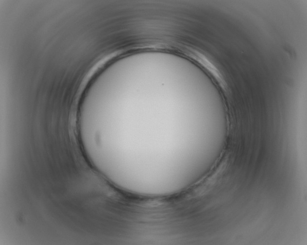 X0000114531283200910191003