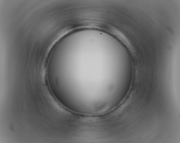 X0000114531284200910191003