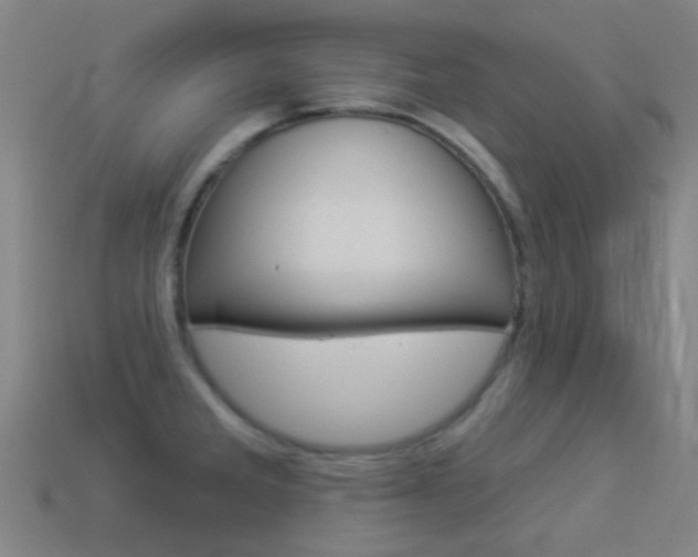 X0000114531285200910191003