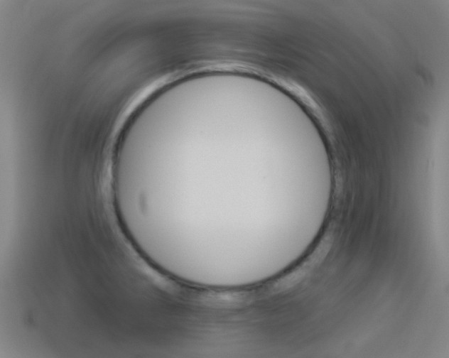 X0000114531286200910191002