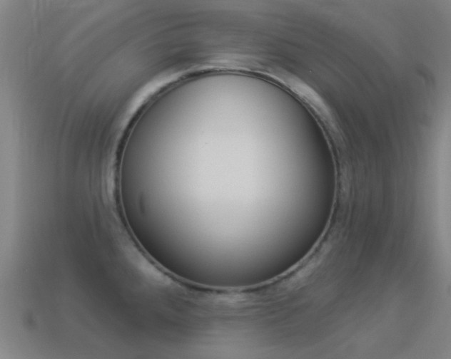 X0000114531288200910191002