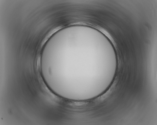 X0000114531290200910191002