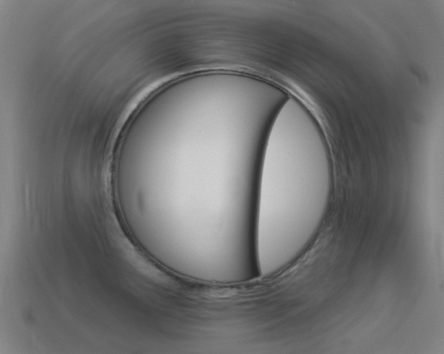 X0000114531291200910191002