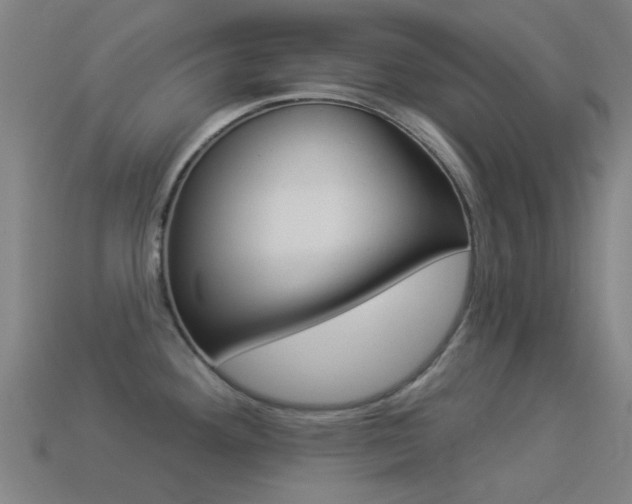 X0000114531292200910191002