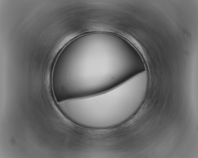 X0000114531293200910191002