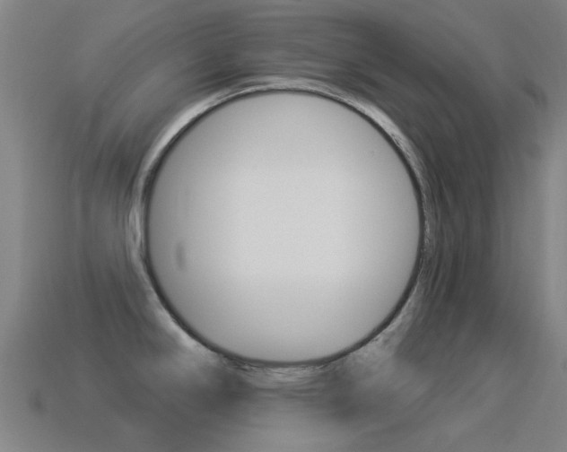 X0000114531294200910191002