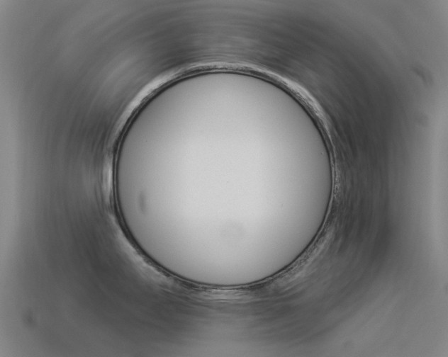 X0000114531295200910191002