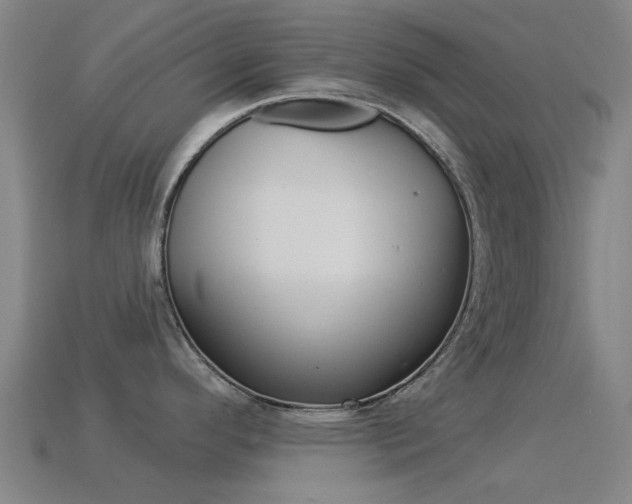 X0000114531296200910191002