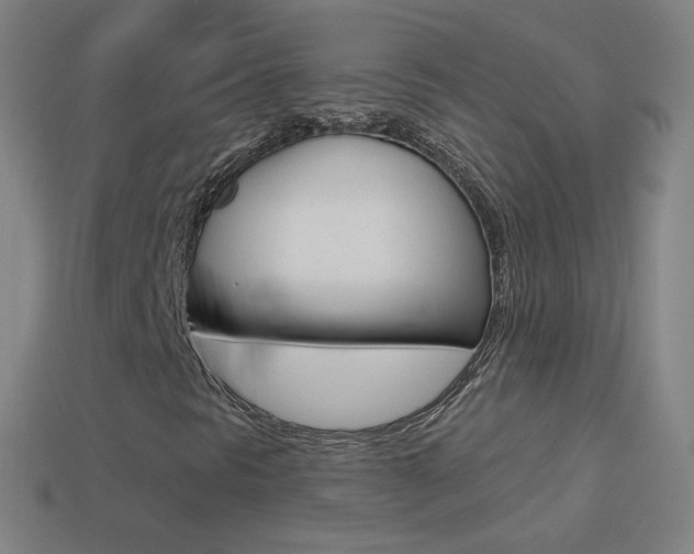 X0000114531297200910191002
