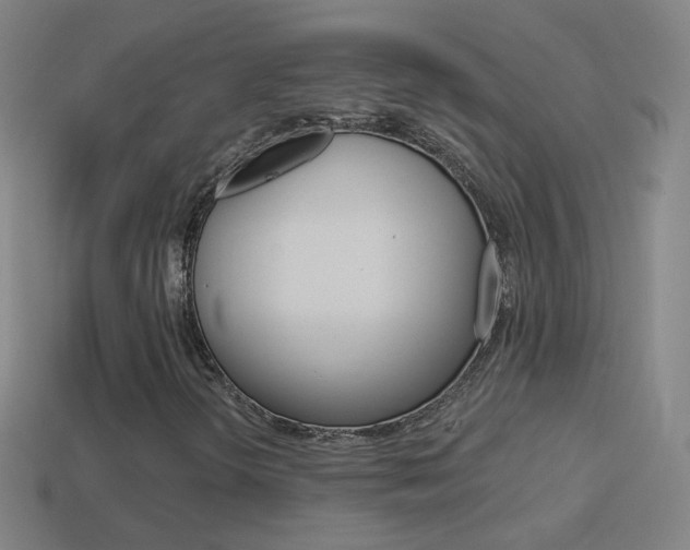 X0000114531298200910191002