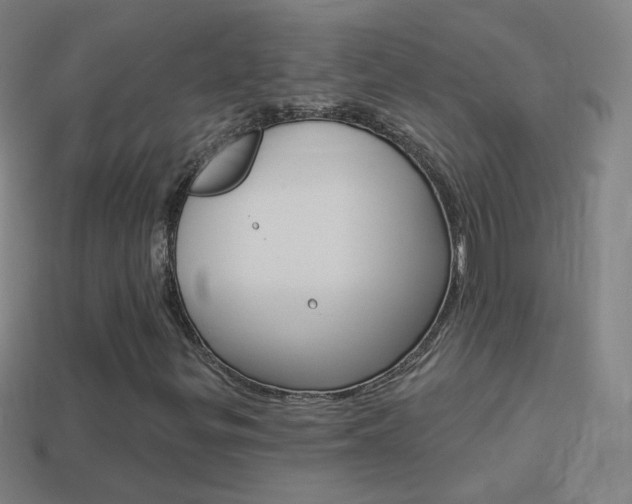 X0000114531299200910191002