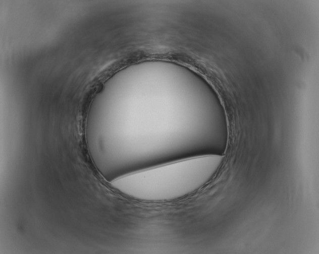 X0000114531301200910191002