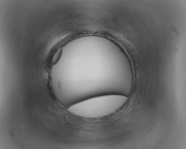 X0000114531302200910191002