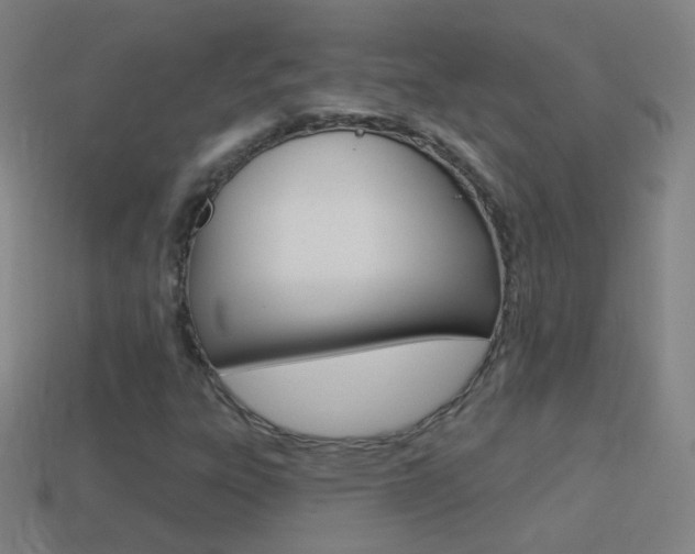 X0000114531303200910191002