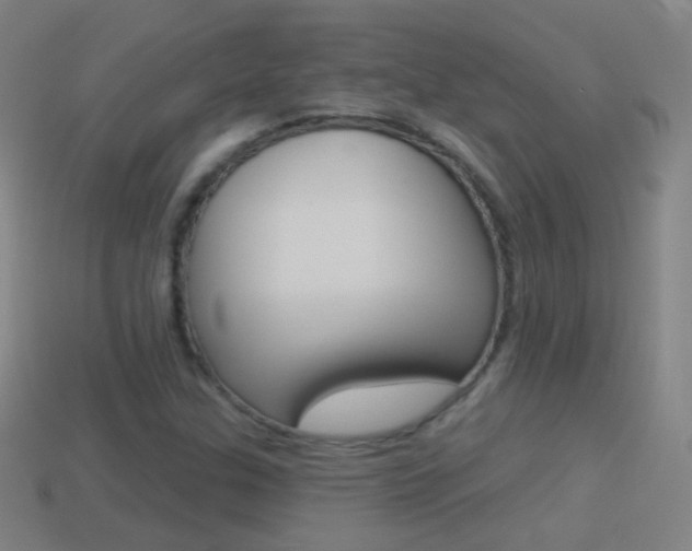X0000114531307200910191002