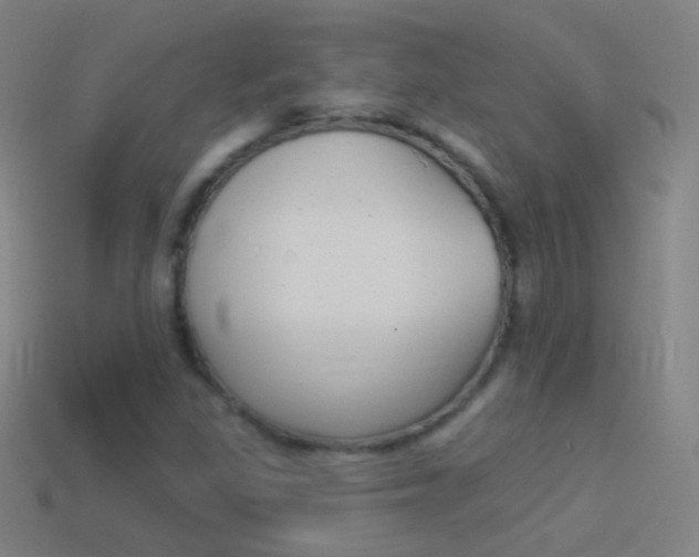 X0000114531309200910191002