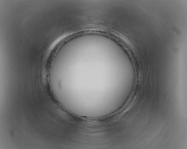 X0000114531310200910191002
