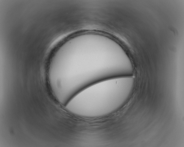 X0000114531311200910191002