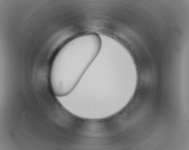 X0000114531314200910191002