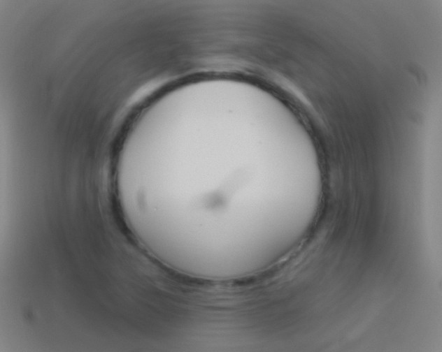 X0000114531315200910191002