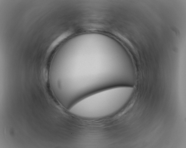 X0000114531317200910191002
