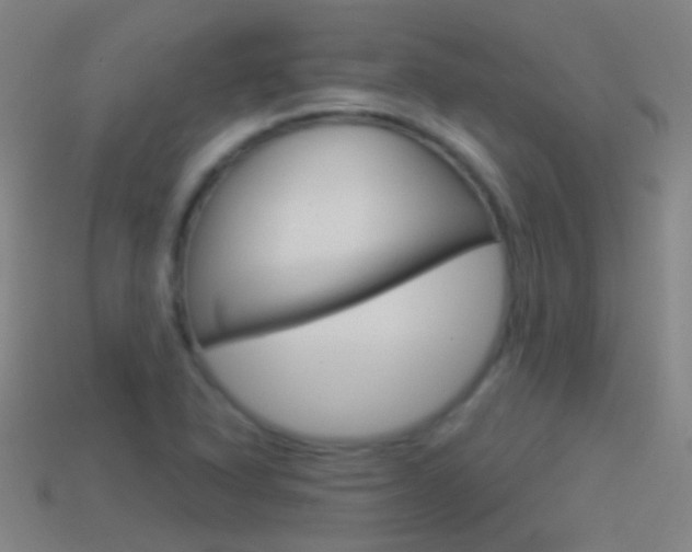 X0000114531318200910191002