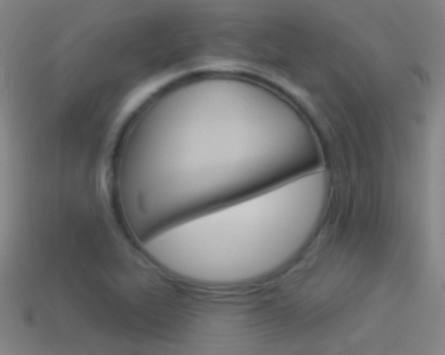 X0000114531319200910191002
