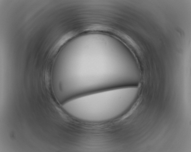 X0000114531321200910191002