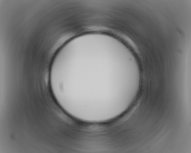 X0000114531322200910191002