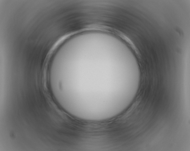 X0000114531323200910191002