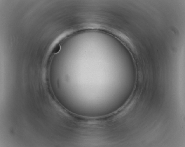 X0000114531326200910191002